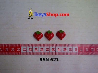 rsn 621  large2